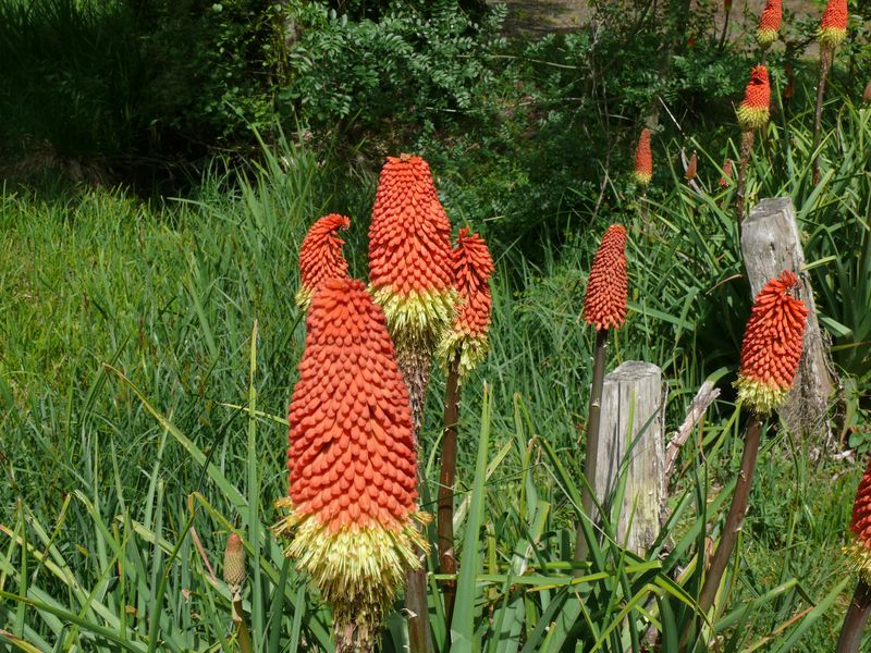 P1240035