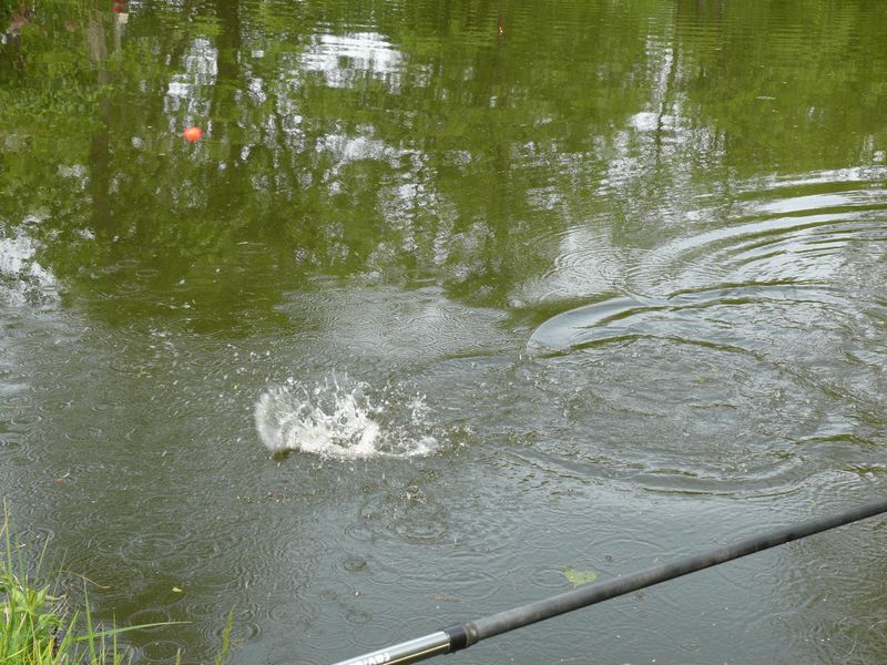 P1240037