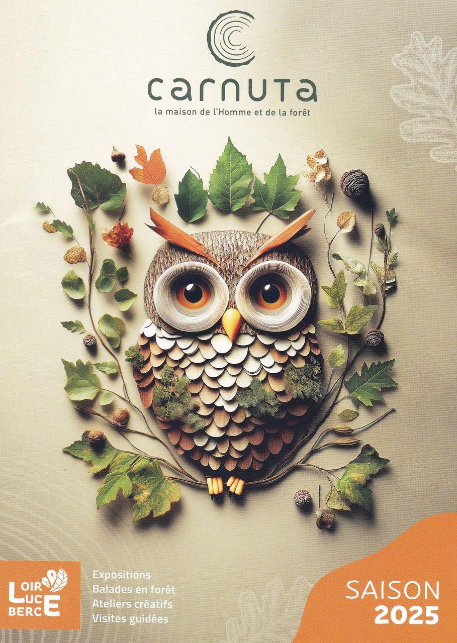 Carnuta