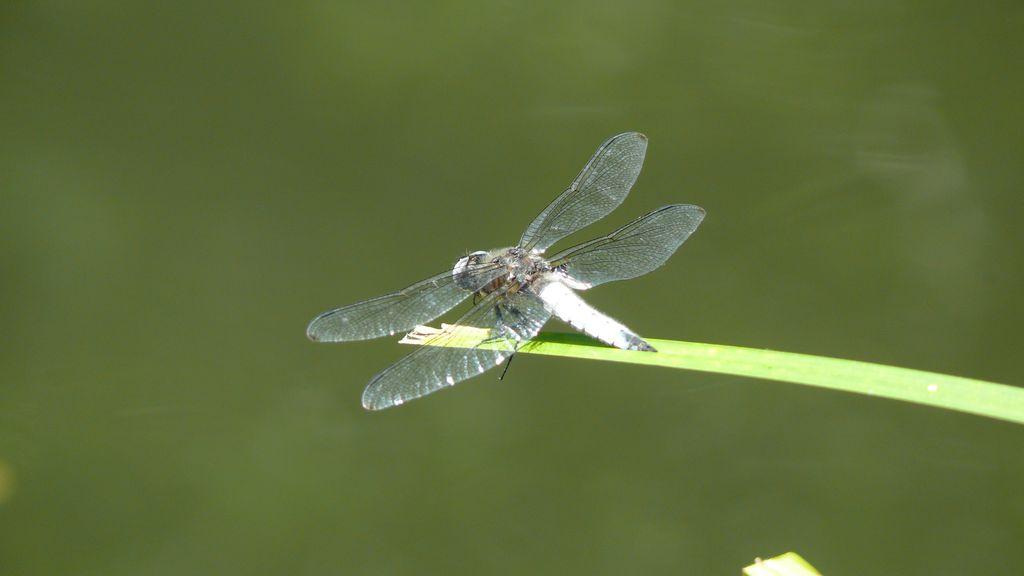 P1250406